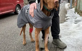 Pomozte nám zachránit Charlieho