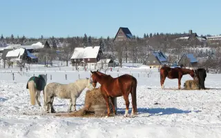 Právní a expertní obrana proti rizikové těžbě lithia v Krušných horách