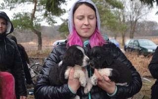 Pomozme s veterinárními náklady opuštěným zvířatům