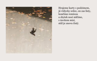 Kdyby srdce bylo krajinou - knižní vydání básní a fotografií Lenky Faltejskové