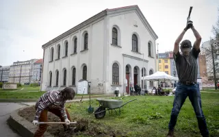 Pomozte nám udržet prostor Synagogy na Palmovce živý