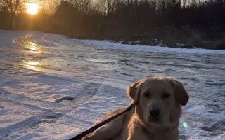Malý Timmy si zaslouží život bez bolesti