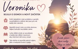 Po mrtvici jsem přišla o práci i samostatnost. Pomůžete mi udržet domov? ❤️😳👌
