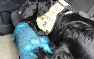 Potřebujeme opravit auto, na kterém jsme závislí.