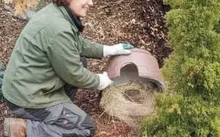 POMOC PRO FOXÍČKA, ASPENA A TAFFY-JACKA