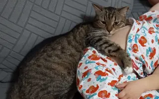 Pomozte Luciferovi s operací a léčbou