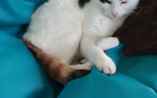 Pomoc Mimi-Míně porazit smrtelnou nemoc