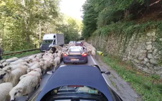 Z nuly zpět za hledáček - aneb nový začátek po velkém pádu