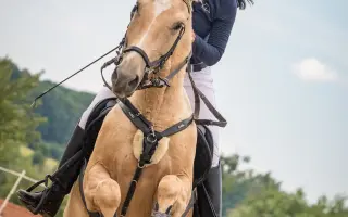 Knížka, která rozzáří dětské oči