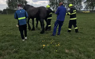 Pomozte Melcherovi prožít důstojný důchod