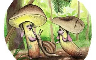 Podpořte KOLODĚJE - houbové hrdiny