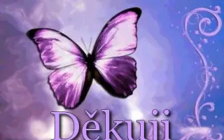 Pomoc pro Nikyho a Stellu – krok k lepším dnům