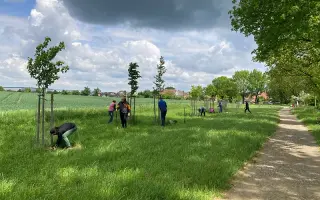 Pomozte stromům růst