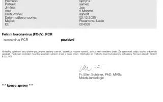 Pomoc pro našeho Joa porazit zákeřnou FIP