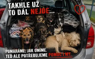 Čtyři kola pro stovky tlapek 🐾