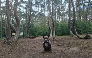 Pomozme Ele opět poznávat svět