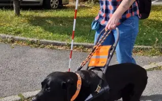 Pomohli jste Sonymu dál pomáhat paní Zdeňce žít samostatně
