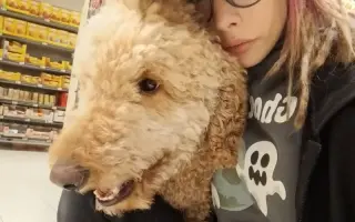 Kvalitnější život pro Annie: doplatek na výcvik asistenčního psa Caspera