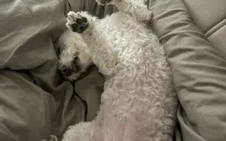 Pomozte nám zachránit naši Elinku