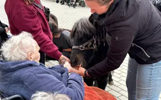Pomozme třem statečným poníkům ke zdraví, které si sami vyběhat nemohou