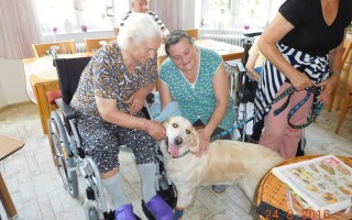 Canisterapie CANTES v krajích ČR jako sociální rehabilitace
