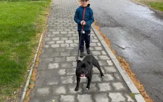 Pomozme Bexovi znovu volně dýchat 🐾
