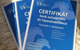 Úsměv těm, kteří jej potřebují - kontaktní terapie a hiporehabilitace