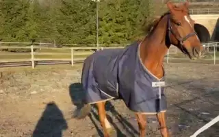 Zachraňme valáška Naríčka