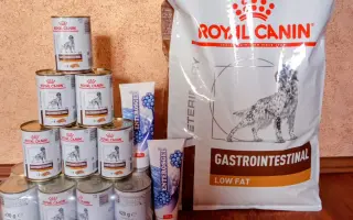 Zachraňme společně nemocného Badýska