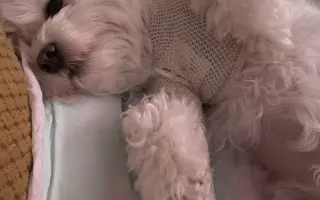 Šance na klidnější život pro Katku