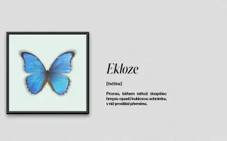 Podpořte studentský film EKLOZE!