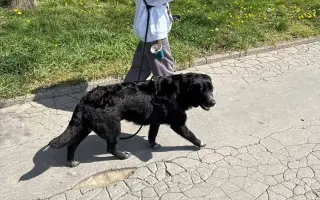 Nový život pro Ritušku