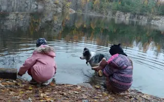 Sbírka na veterinární péči a diabetickou dietu pro Dixinku