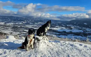 Život bez bolesti pro Mildu