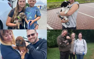 Pomozte nám zachraňovat zvířecí životy  - Zachraňujme se spolkem, z. s.