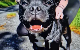 Pomozme Bexovi znovu volně dýchat 🐾