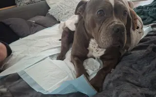 Pomozme Ele opět poznávat svět