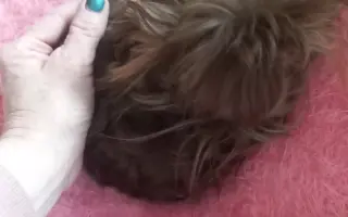 Bojovník Bertík vážící pouhé 1 kilo