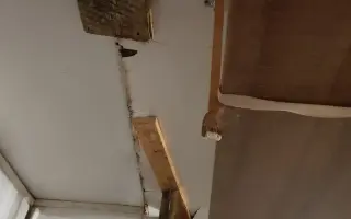 Pomozme paní Jančové a útulku Konec Toulání