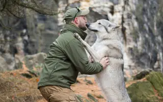 Zachraňme Degase: Vlčák s velkým srdcem bojuje s krutou nemocí