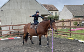 Zpět na nohy - společně vrátíme do života kobylku i naše klienty