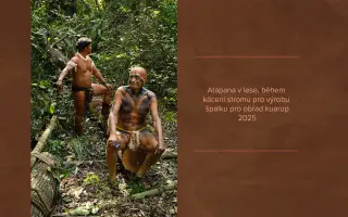 Pojďme spolu podpořit poselství indiánů Amazonie