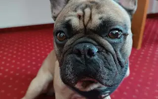 Pomohli jste Edovi k lepšímu zdraví