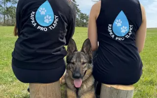 Pomoc pro spolek Kapka pro tlapky