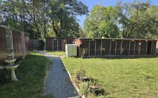 Pomozte zachránit náš psí hotel – musíme začít úplně od nuly