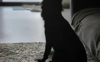 Ari přežila poušť. Teď ji ničí bolest...