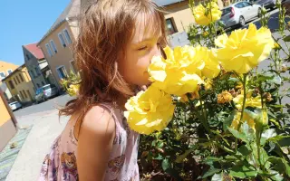 Pomozte mamince samoživitelce k cestě k novému domovu