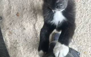 Pomoc pro malinkou Meggie