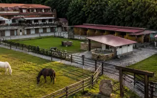 Rozjeďme Creativ Horse Training: Místo, kde děti a koně mluví stejným jazykem