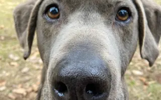 🥾 154 KM ZA TY, KTEŘÍ UŽ NEMŮŽOU 🐾